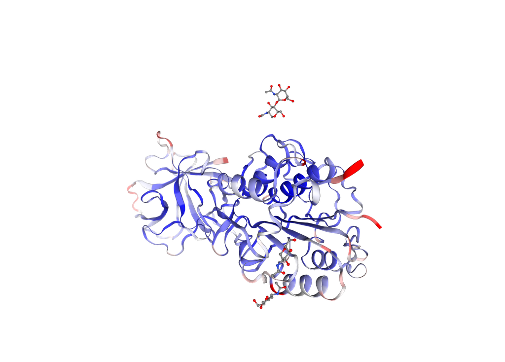 Recombinant Human Legumain (LGMN) - 20 ug