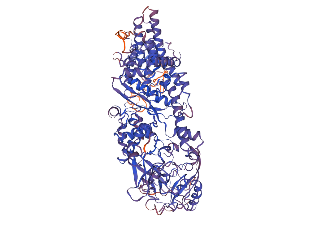 [0544-MBS2029972-1MG] Isoleucyl tRNA Synthetase (IARS) Recombinant Protein - 1mg
