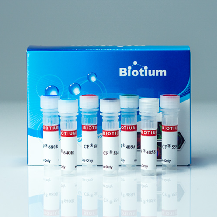 Annexin V Conjugates - 500 uL, CF®488A