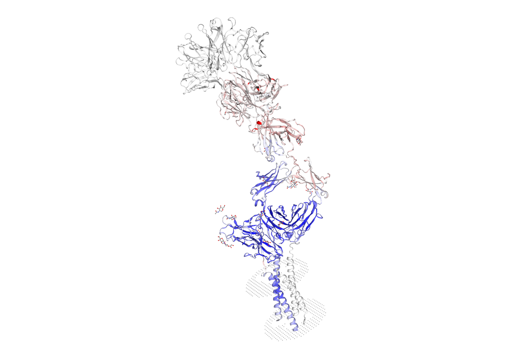 [0975-KMP1935-100UG] Biotinylated Recombinant Human CD79B Protein - 100 ug
