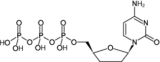ddCTP (2',3'-Dideoxycytidine-5'-triphosphate, Trilithium salt), 5 μmol - 5 x 10 μl