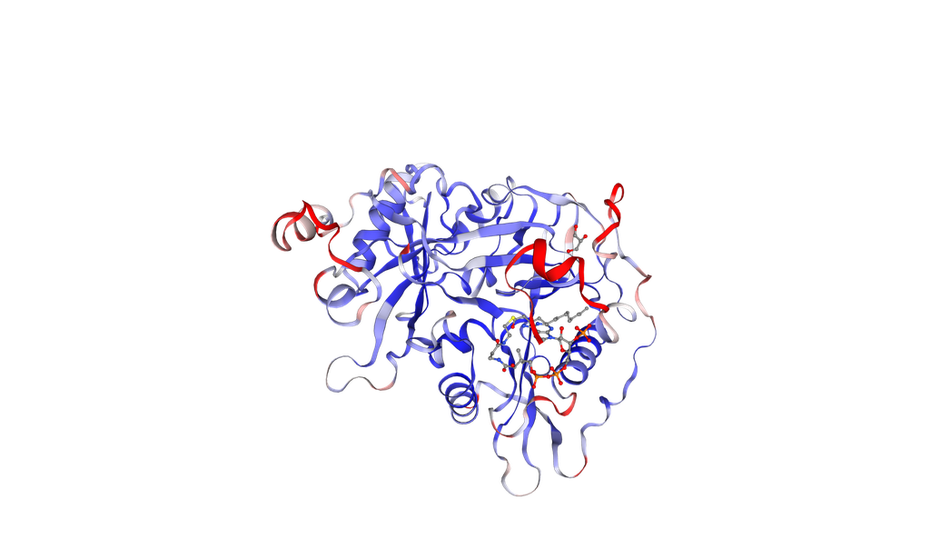 [0926-80R-4067-500UG] Human NMT1 protein (recombinant, E.coli, His-Tag) - 500 ug