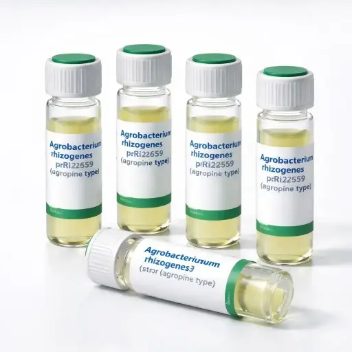 [0774-1087-06] K599 Chemically Competent Agrobacterium rhizogenes (str R) pRi2659 (agropine type) - 6 x 50 µl